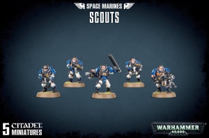 Space Marines: Scouts