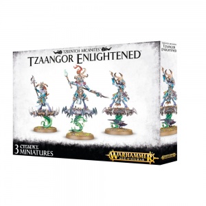 Tzaangor Enlightened